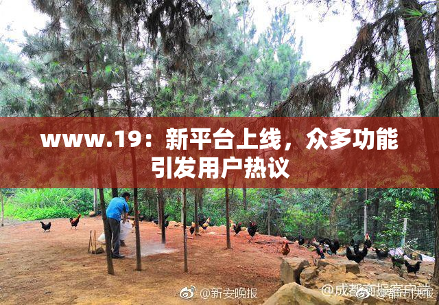 www.19：新平台上线，众多功能引发用户热议