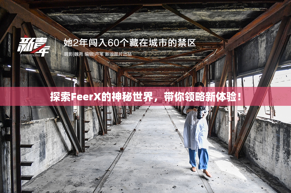 探索FeerX的神秘世界，带你领略新体验！