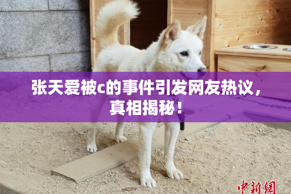 张天爱被c的事件引发网友热议，真相揭秘！