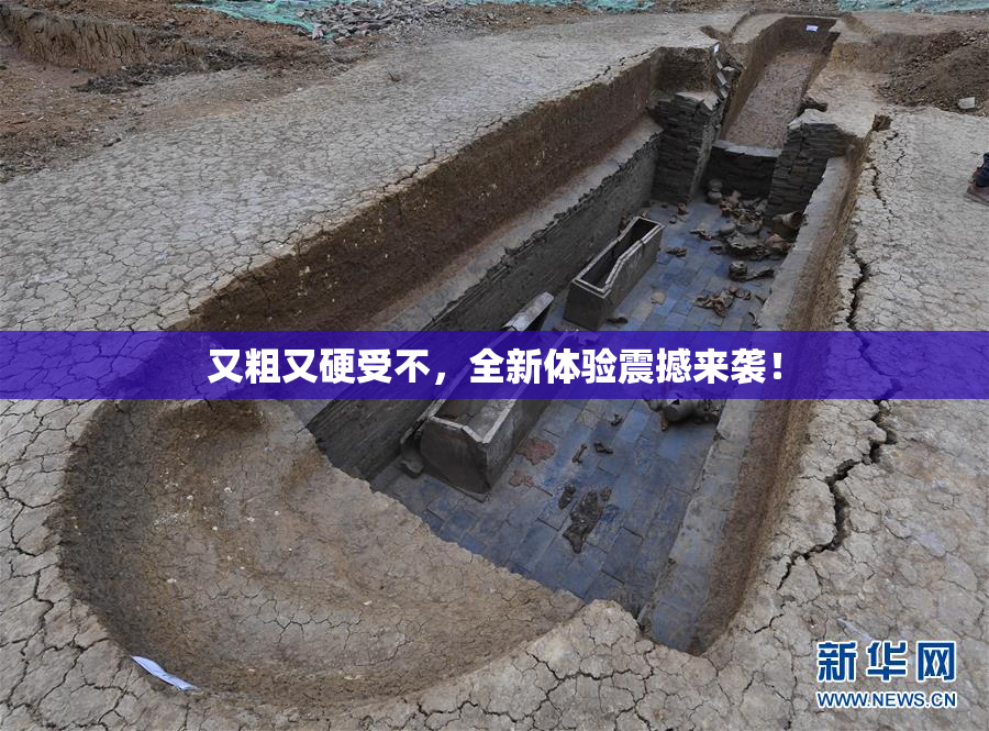 又粗又硬受不，全新体验震撼来袭！