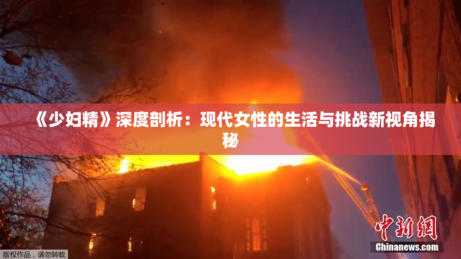 《少妇精》深度剖析：现代女性的生活与挑战新视角揭秘