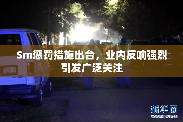 Sm惩罚措施出台，业内反响强烈引发广泛关注
