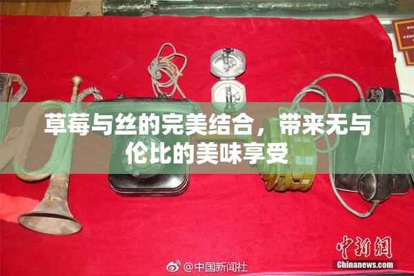 草莓与丝的完美结合，带来无与伦比的美味享受
