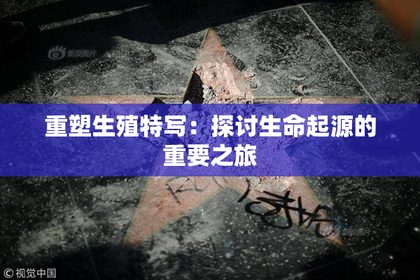 重塑生殖特写：探讨生命起源的重要之旅