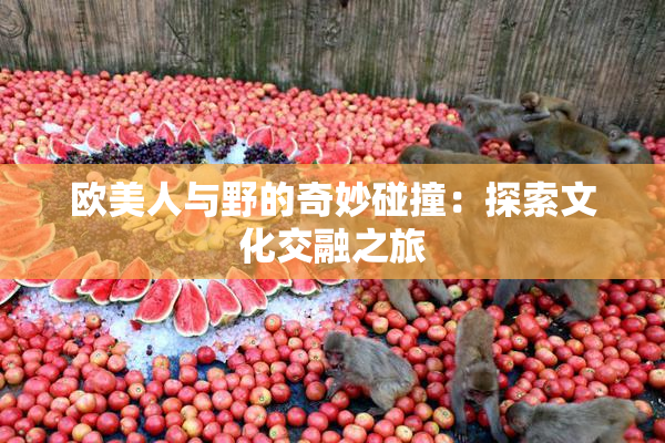 欧美人与野的奇妙碰撞：探索文化交融之旅