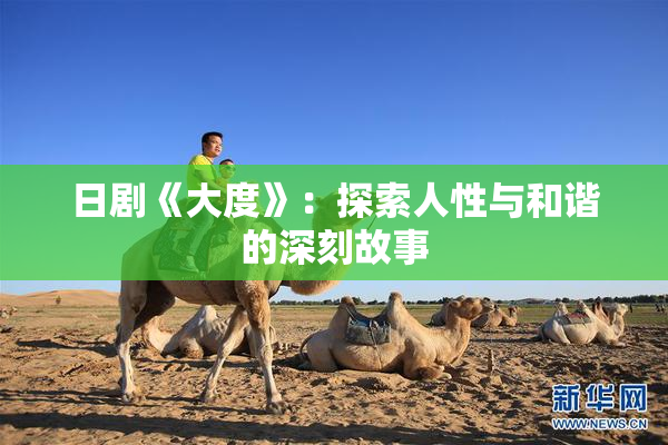 日剧《大度》：探索人性与和谐的深刻故事