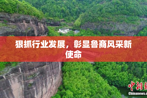 狠抓行业发展，彰显鲁商风采新使命