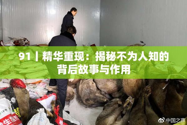 91丨精华重现：揭秘不为人知的背后故事与作用