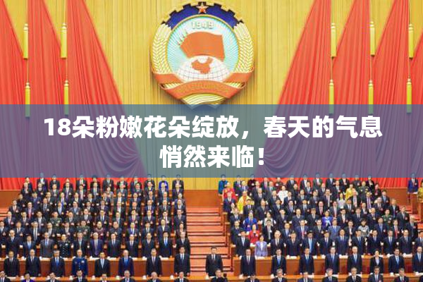 18朵粉嫩花朵绽放，春天的气息悄然来临！