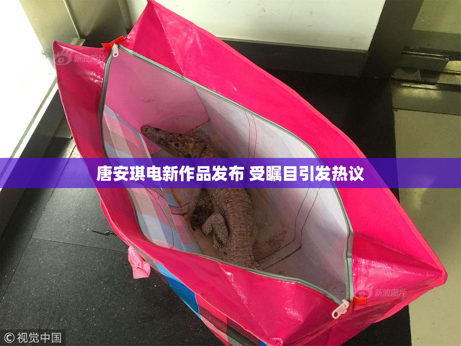 唐安琪电新作品发布 受瞩目引发热议