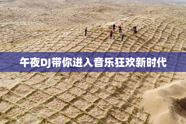 午夜DJ带你进入音乐狂欢新时代