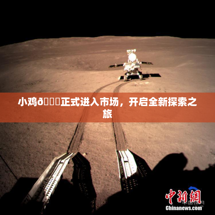 小鸡🐔正式进入市场，开启全新探索之旅