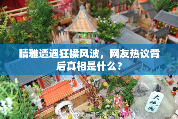 晴雅遭遇狂揉风波，网友热议背后真相是什么？