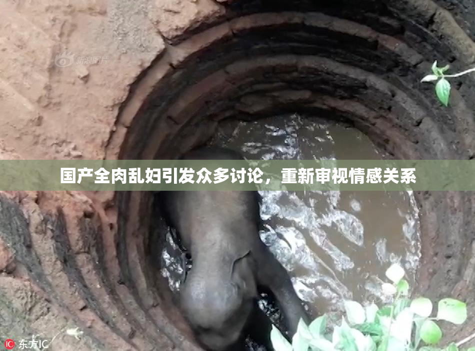 国产全肉乱妇引发众多讨论，重新审视情感关系