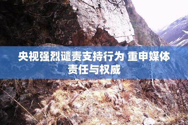 央视强烈谴责支持行为 重申媒体责任与权威