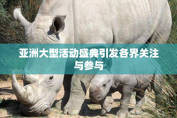 亚洲大型活动盛典引发各界关注与参与