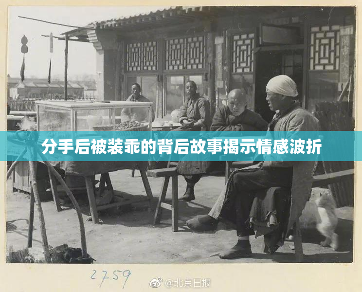分手后被装乖的背后故事揭示情感波折
