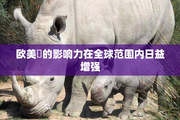 欧美巜的影响力在全球范围内日益增强