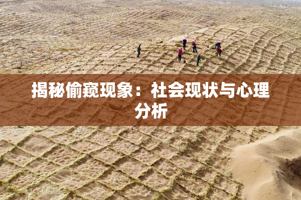揭秘偷窥现象：社会现状与心理分析