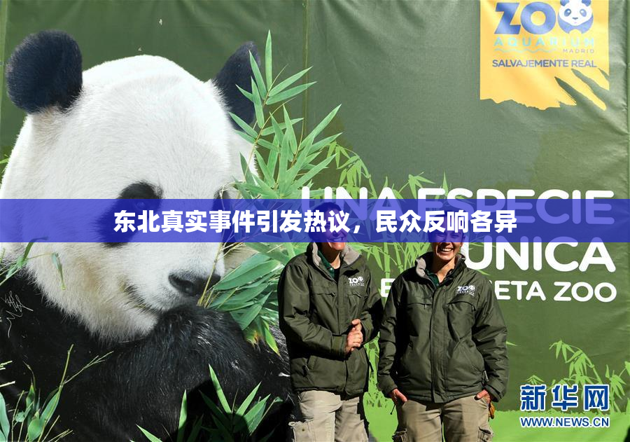 东北真实事件引发热议，民众反响各异