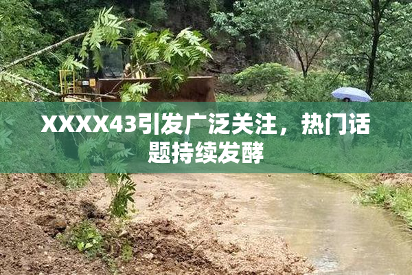 XXXX43引发广泛关注，热门话题持续发酵