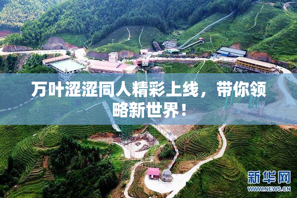 万叶涩涩同人精彩上线，带你领略新世界！