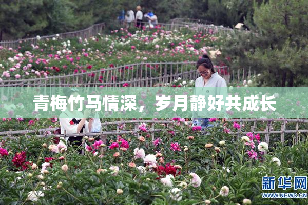 青梅竹马情深，岁月静好共成长
