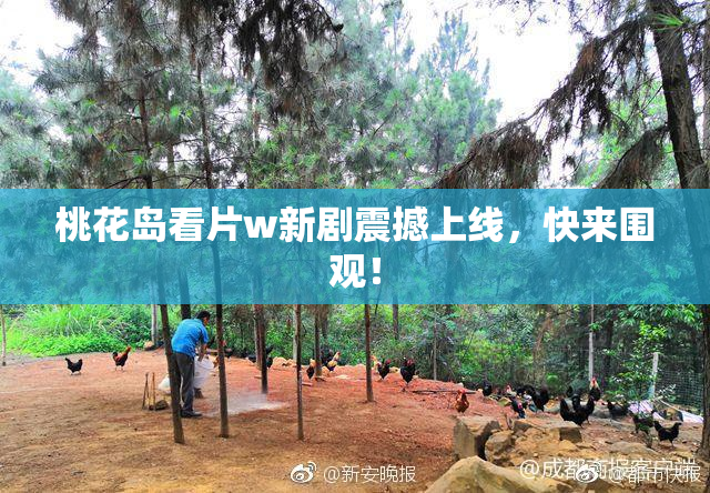 桃花岛看片w新剧震撼上线，快来围观！