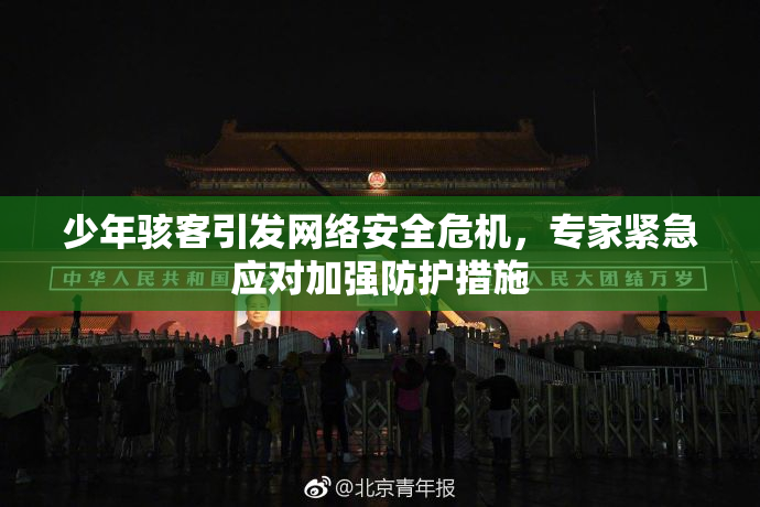 少年骇客引发网络安全危机，专家紧急应对加强防护措施