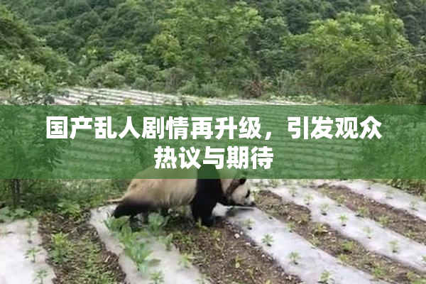 国产乱人剧情再升级，引发观众热议与期待