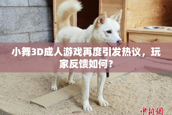 小舞3D成人游戏再度引发热议，玩家反馈如何？