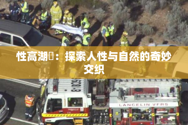 性高湖婬：探索人性与自然的奇妙交织