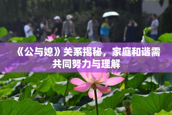 《公与媳》关系揭秘，家庭和谐需共同努力与理解