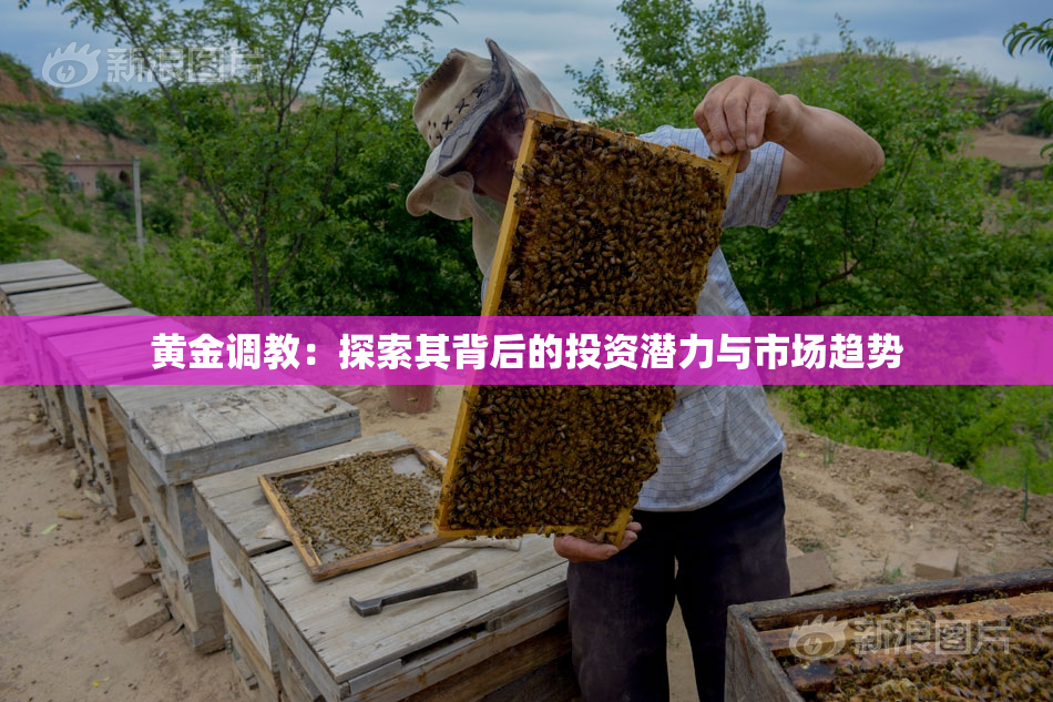 黄金调教：探索其背后的投资潜力与市场趋势