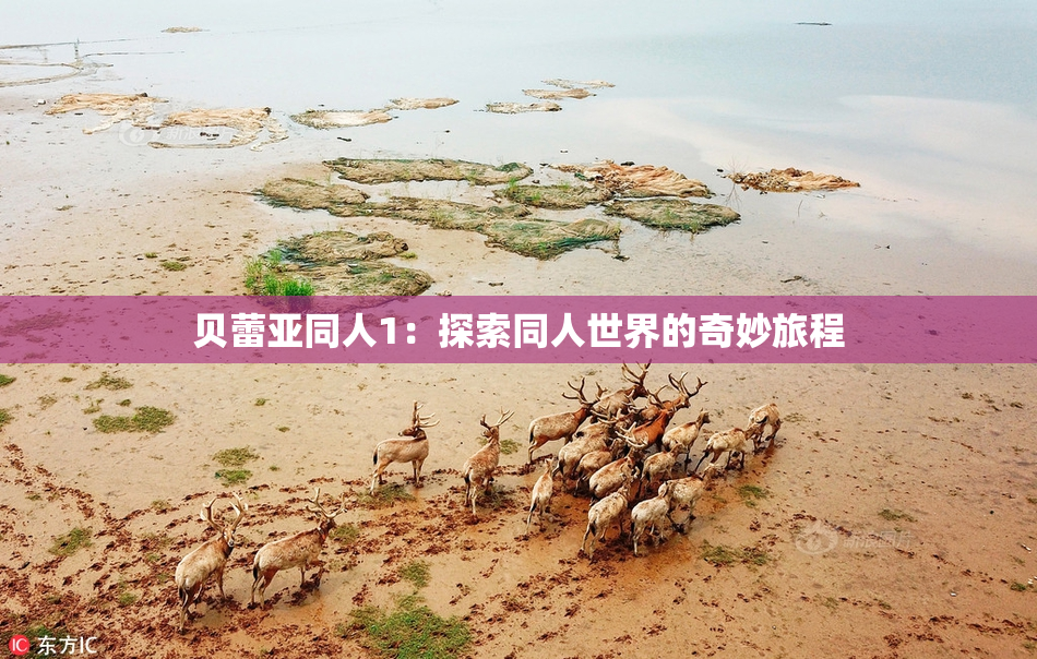 贝蕾亚同人1：探索同人世界的奇妙旅程
