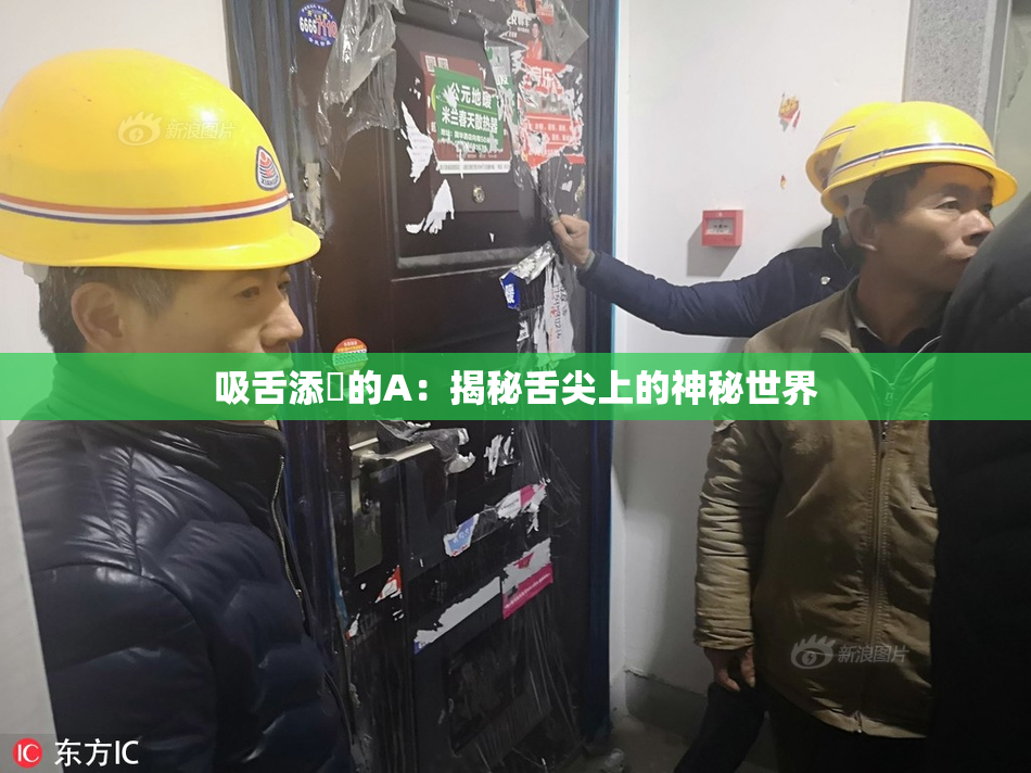 吸舌添泬的A：揭秘舌尖上的神秘世界