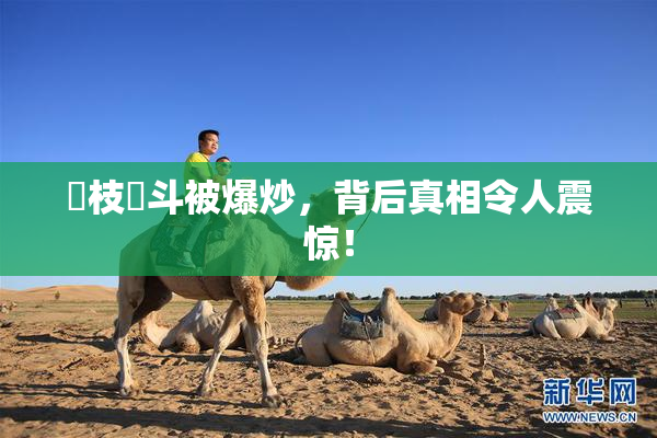 狛枝凪斗被爆炒，背后真相令人震惊！