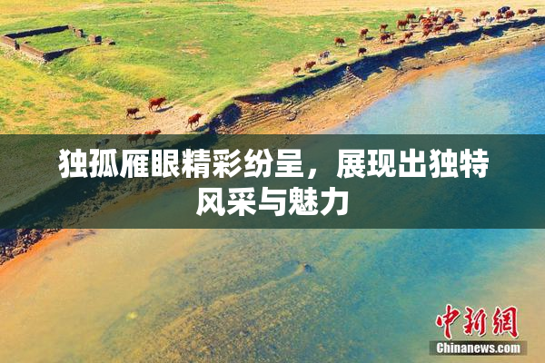 独孤雁眼精彩纷呈，展现出独特风采与魅力