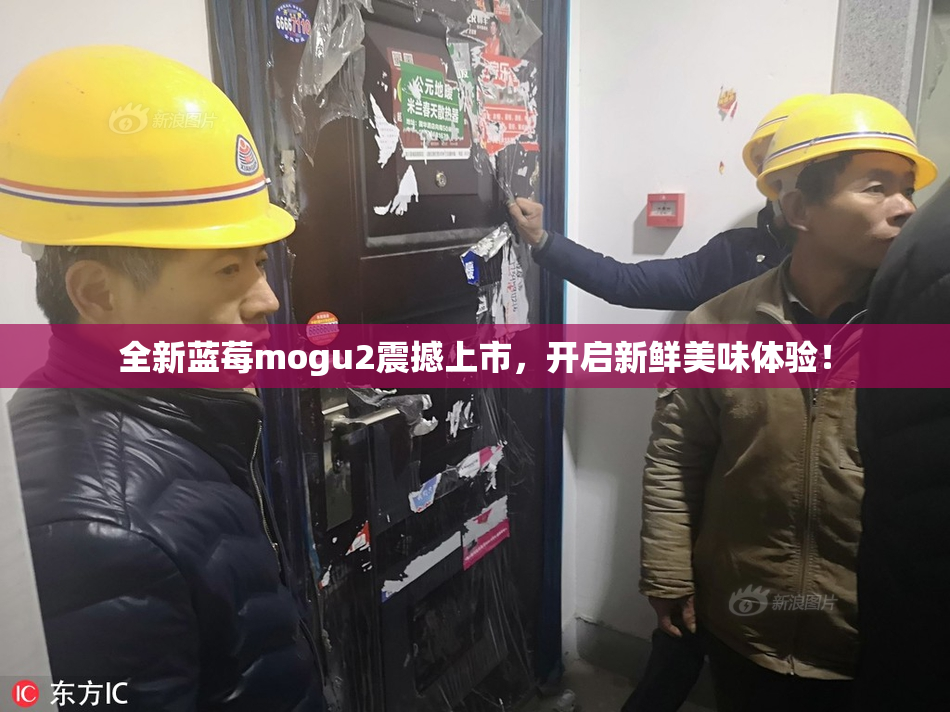 全新蓝莓mogu2震撼上市，开启新鲜美味体验！