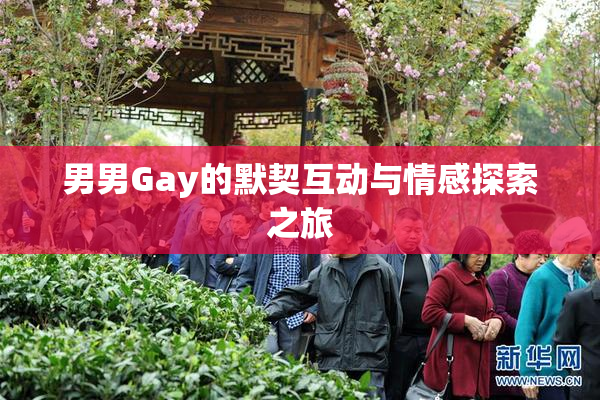 男男Gay的默契互动与情感探索之旅
