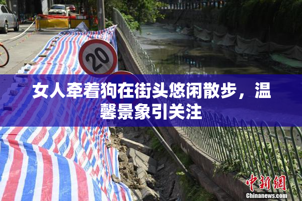 女人牵着狗在街头悠闲散步，温馨景象引关注