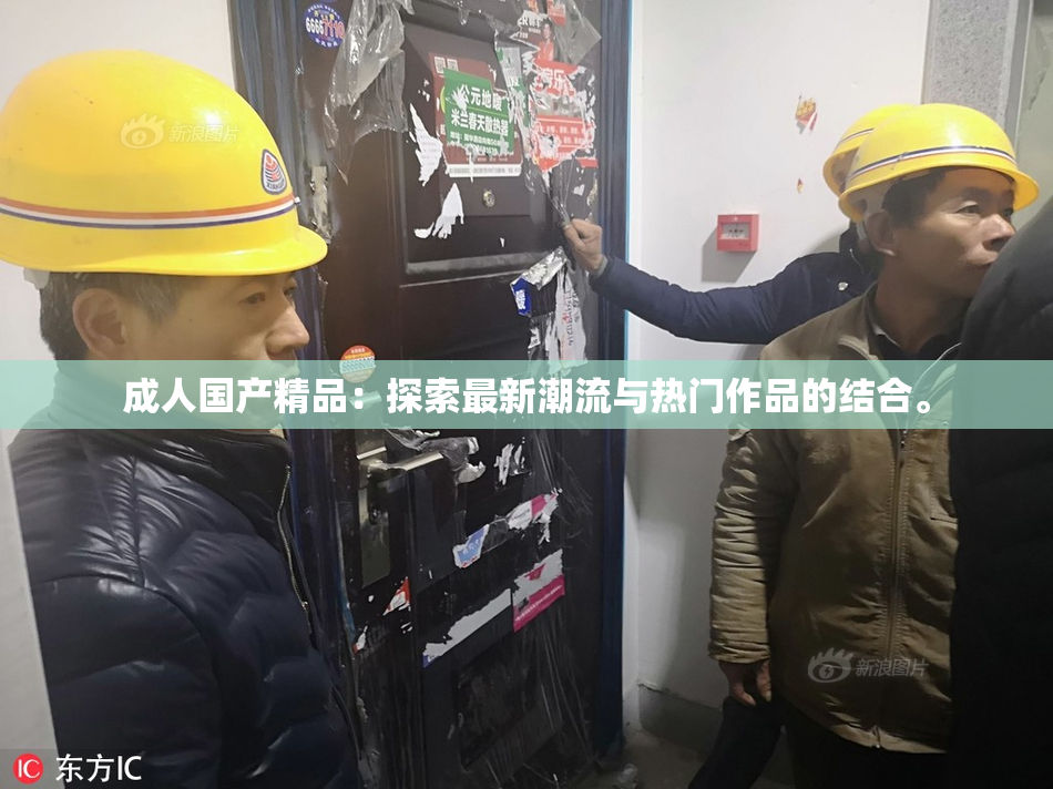 成人国产精品：探索最新潮流与热门作品的结合。