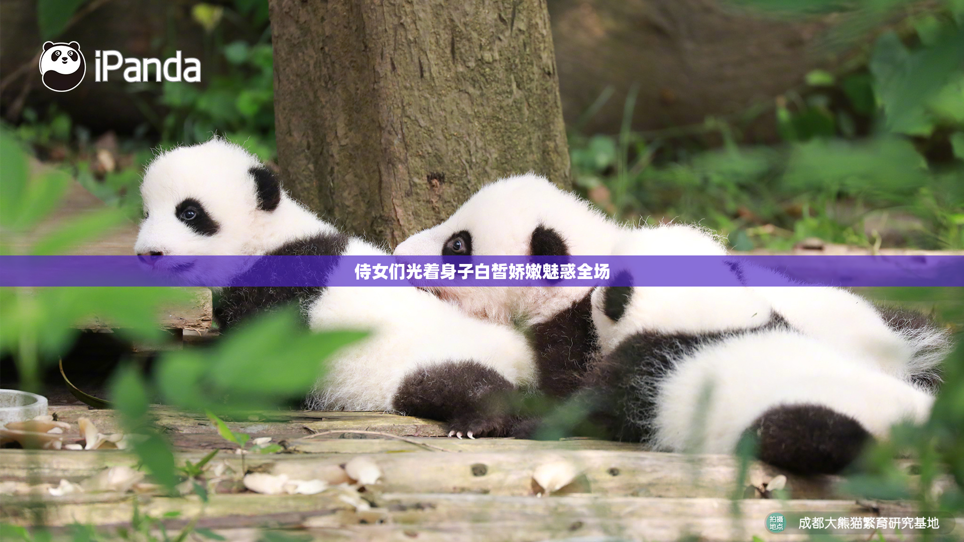 侍女们光着身子白皙娇嫩魅惑全场