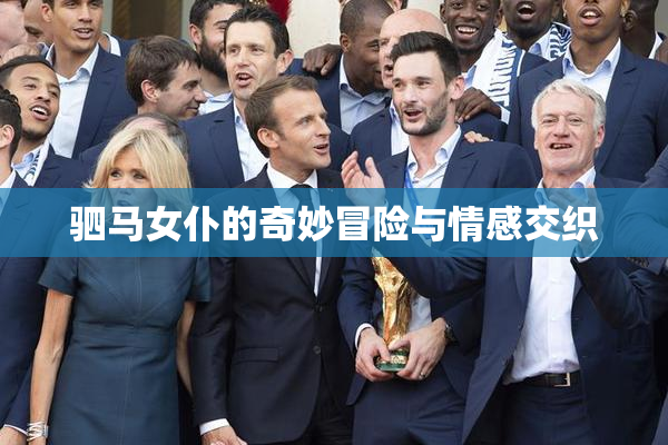 驷马女仆的奇妙冒险与情感交织