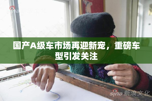 国产A级车市场再迎新宠，重磅车型引发关注