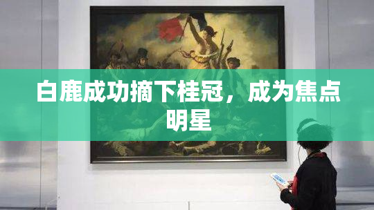 白鹿成功摘下桂冠，成为焦点明星
