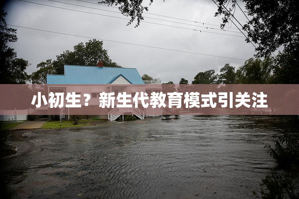 小初生？新生代教育模式引关注