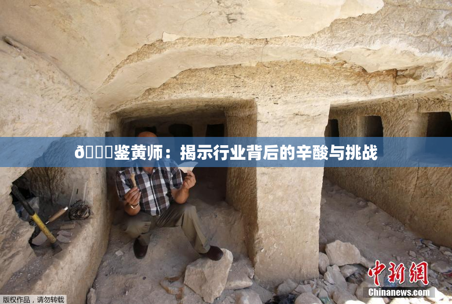 🔞鉴黄师：揭示行业背后的辛酸与挑战