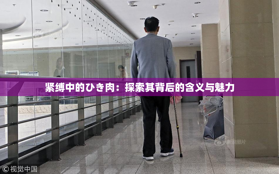 紧缚中的ひき肉：探索其背后的含义与魅力