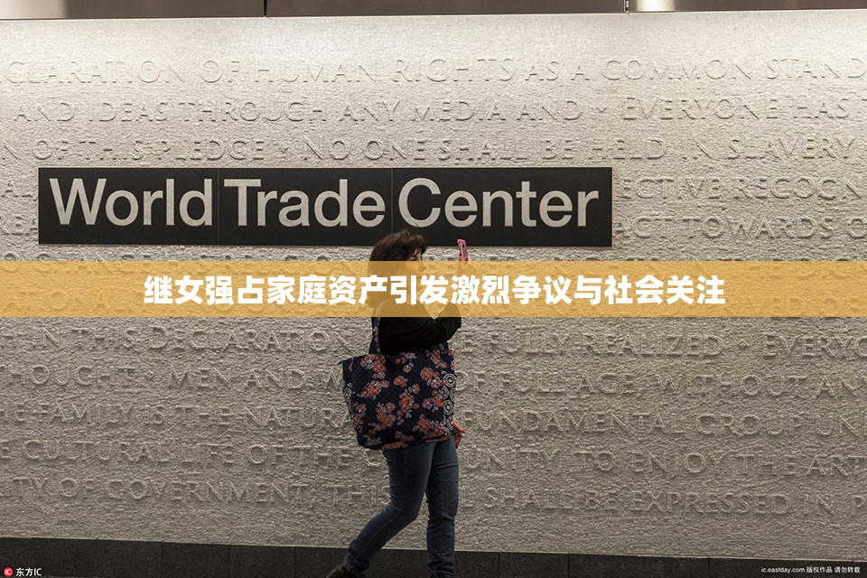 继女强占家庭资产引发激烈争议与社会关注